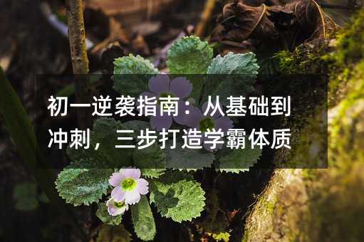 初一逆袭指南:从基础到冲刺,三步打造学霸体质