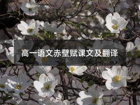 高一语文赤壁赋课文及翻译