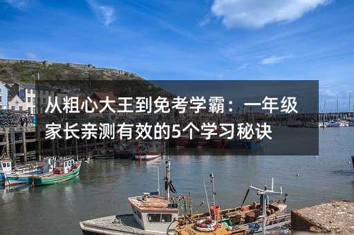 从粗心大王到免考学霸:一年级家长亲测有效的5个学习秘诀