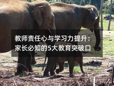 教师责任心与学习力提升:家长必知的5大教育突破口