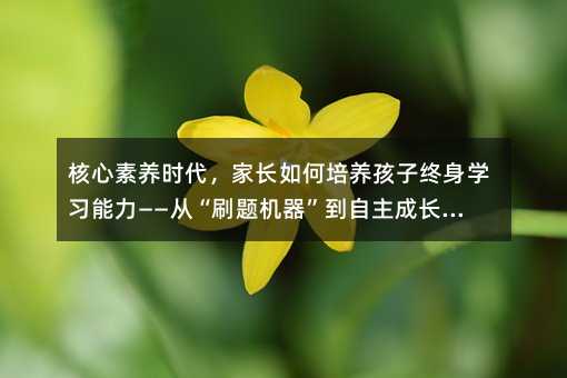 核心素养时代,家长如何培养孩子终身学习能力——从“刷题机器”到自主成长者的蜕变之路