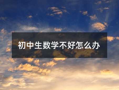 初中生数学不好怎么办