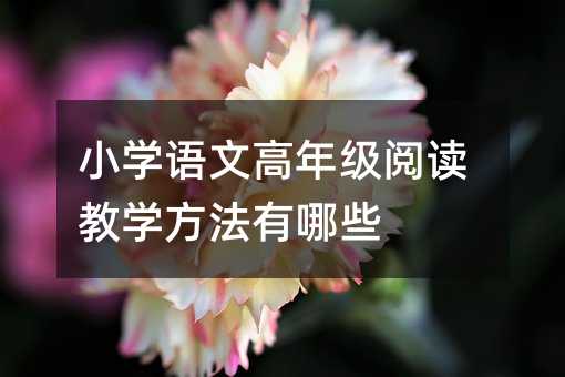 级阅读教学办法有什么