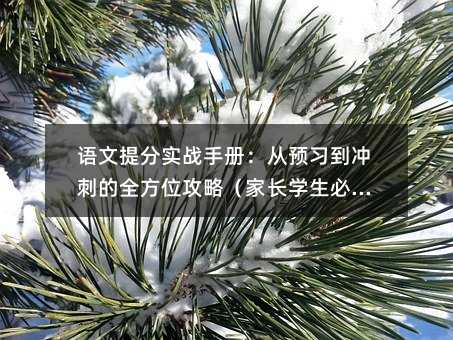 语文提分实战手册:从预习到冲刺的全方位攻略(家长学生必看)
