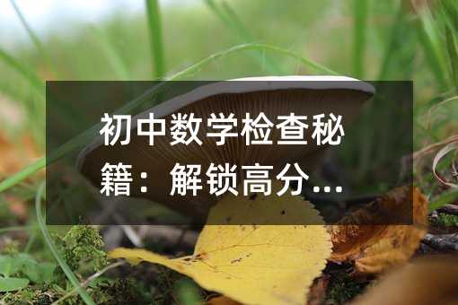 初中数学检查秘籍:解锁高分密码
