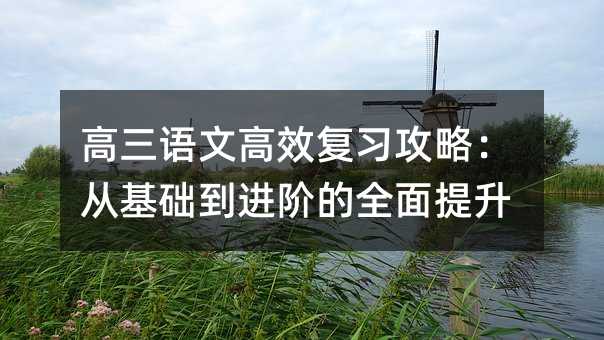 高三语文高效复习攻略:从基础到进阶的全面提升