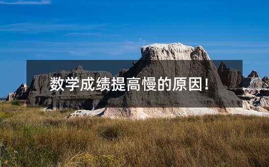 数学成绩提高慢的原因!