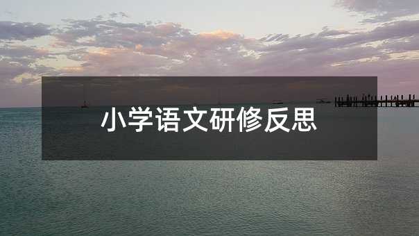 小学语文研修反思