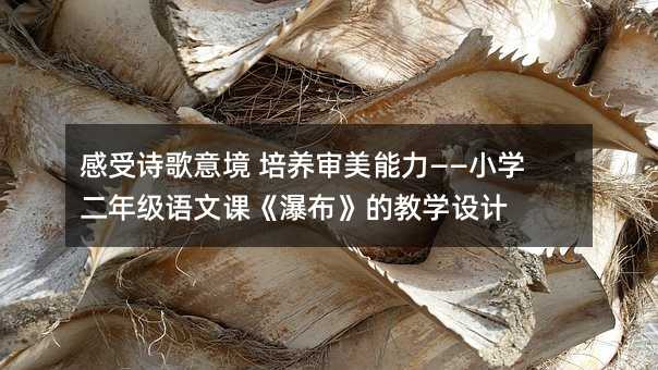 感受诗歌意境 培养审美能力——小学二年级语文课《瀑布》的教学设计