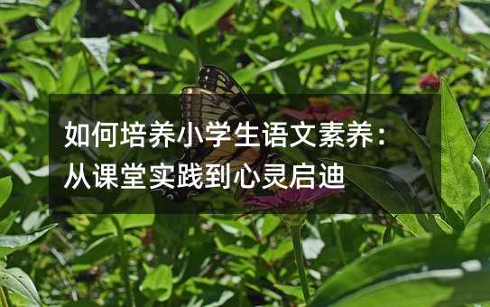 如何培养小学生语文素养:从课堂实践到心灵启迪