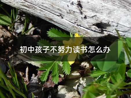 初中孩子不努力读书怎么办