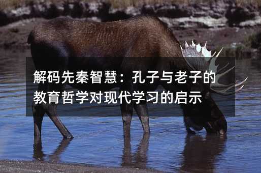 ǻۣӵĽѧִѧϰʾ