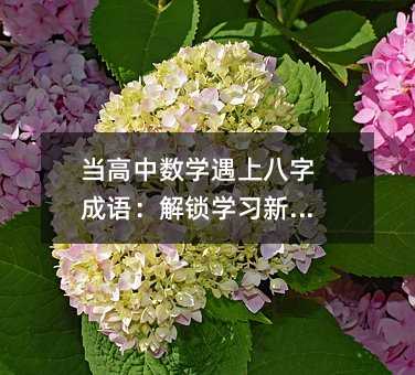 当高中数学遇上八字成语:解锁学习新视角