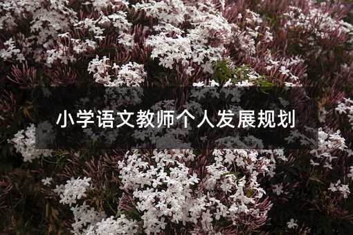 小学语文教师个人发展规划
