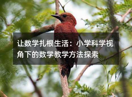 让数学扎根生活:小学科学视角下的数学教学方法探索
