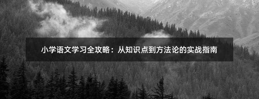 Сѧѧϰȫԣ֪ʶ㵽۵ʵսָ