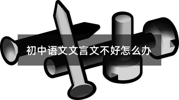 初中语文文言文不好怎么办