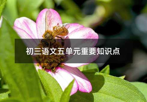 嵥ԪҪ֪ʶ