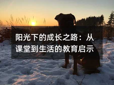 阳光下的成长之路:从课堂到生活的教育启示