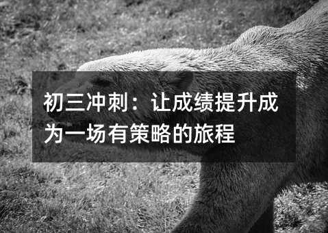 初三冲刺:让成绩提升成为一场有策略的旅程