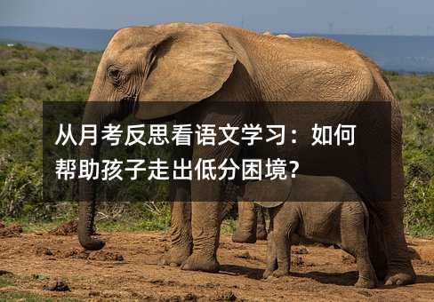 从月考反思看语文学习:如何帮助孩子走出低分困境?