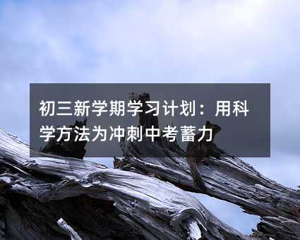 初三新学期学习计划:用科学方法为冲刺中考蓄力