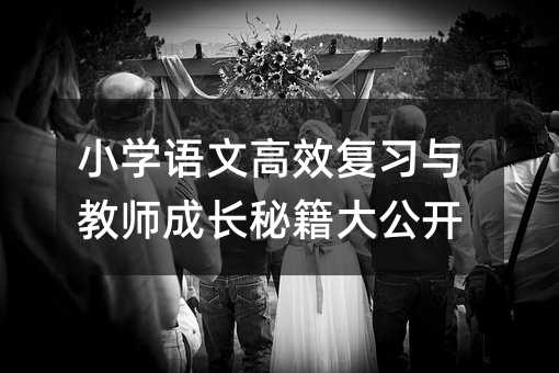 小学语文高效复习与教师成长秘籍大公开