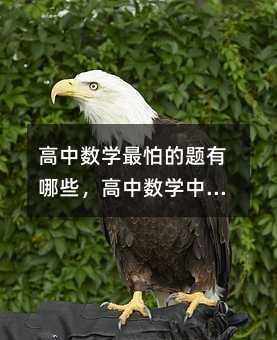 高中数学最怕的题有哪些,高中数学中,哪些题型最让学生感到头疼?
