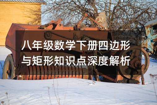 八年级数学下册四边形与矩形知识点深度解析