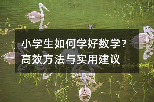 СѧѧѧЧʵý