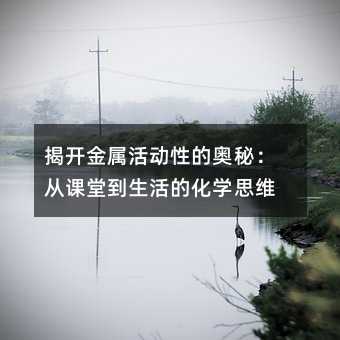 揭开金属活动性的奥秘:从课堂到生活的化学思维