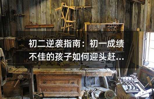 初二逆袭指南:初一成绩不佳的孩子如何迎头赶上?