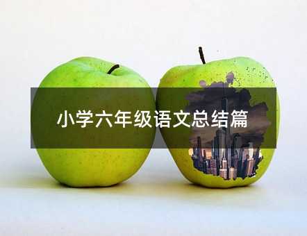 小学六年级语文总结篇
