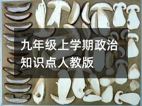九年级上学期政治知识点人教版