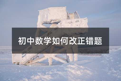 初中数学如何改正错题