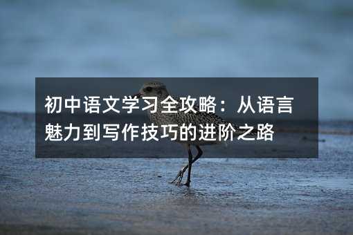 初中语文学习全攻略:从语言魅力到写作技巧的进阶之路