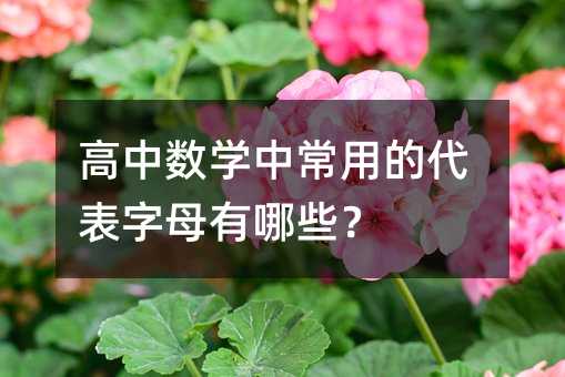 高中数学中常用的代表字母有哪些?