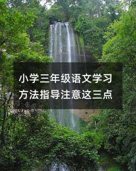 小学三年级语文学习方法指导注意这三点