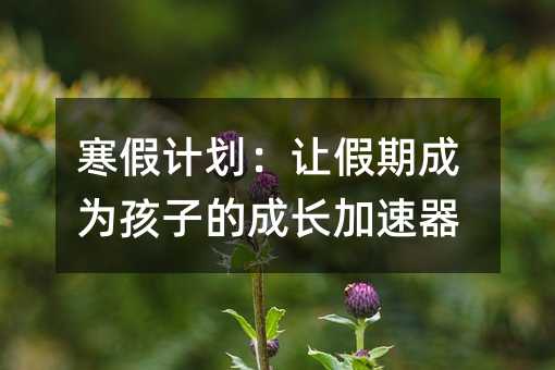 寒假计划:让假期成为孩子的成长加速器