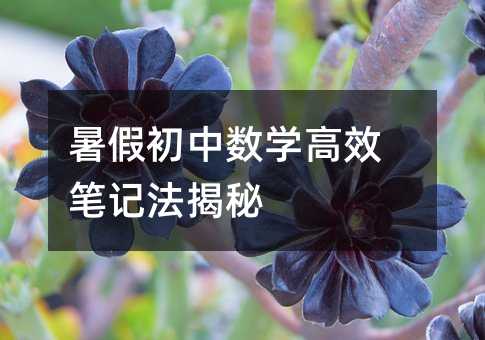 暑假初中数学高效笔记法揭秘