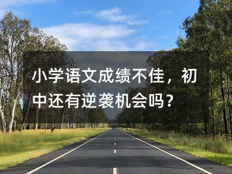 小学语文成绩不佳,初中还有逆袭机会吗?