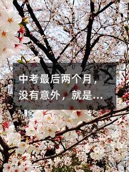 中考最后两个月,没有意外,就是成功!