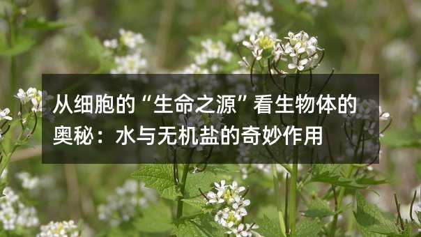 从细胞的“生命之源”看生物体的奥秘:水与无机盐的奇妙作用