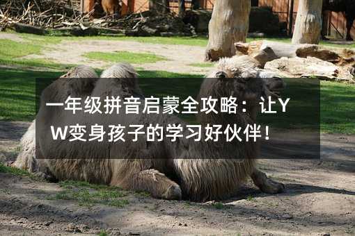 一年级拼音启蒙全攻略:让Y W变身孩子的学习好伙伴!