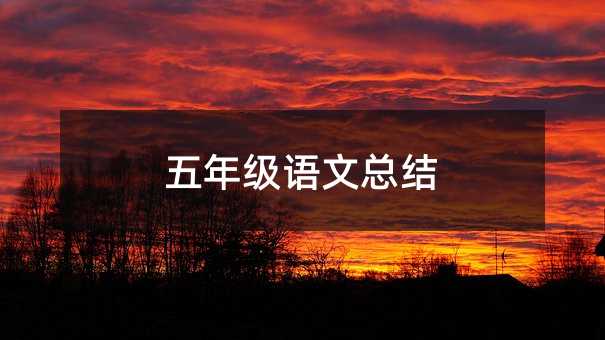 五年级语文总结