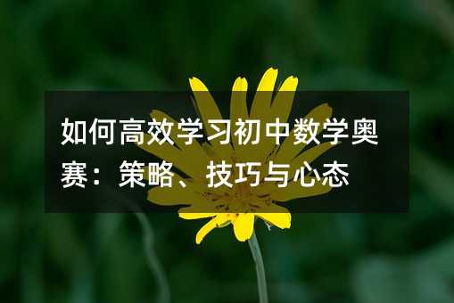 如何高效学习初中数学奥赛:策略、技巧与心态