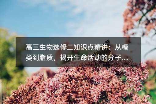 ѡ޶֪ʶ㾫ൽ֬ʣҿķ