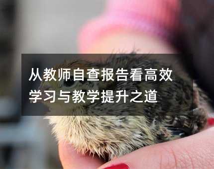 从教师自查报告看高效学习与教学提升之道