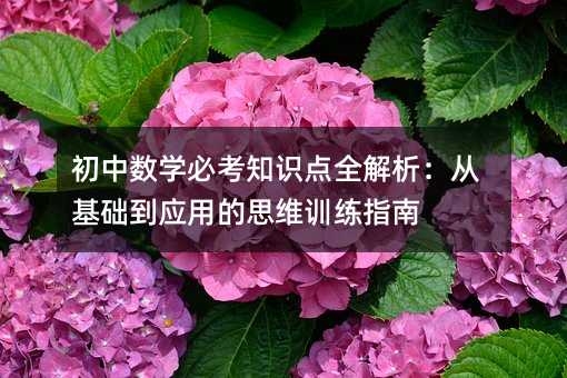 初中数学必考知识点全解析:从基础到应用的思维训练指南