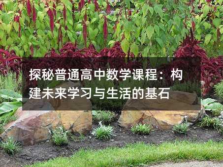 探秘普通高中数学课程:构建未来学习与生活的基石